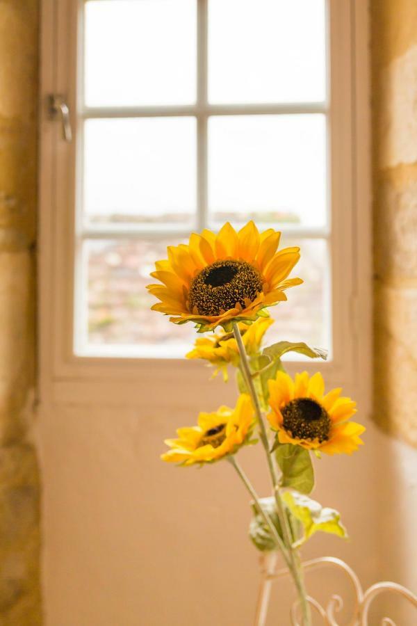 Au Coeur De Beynac, Une Maison De Caractere Avec Jardin Terrasse Екстериор снимка